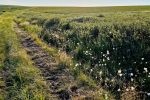 Дорога после брода через р. Малая Уса.