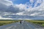 СА спугнул оленя на дороге.