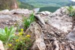 Ландшафт в районе Сикияз-Тамакского пещерного комплекса.