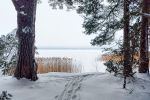 Берег озера Нарочь.